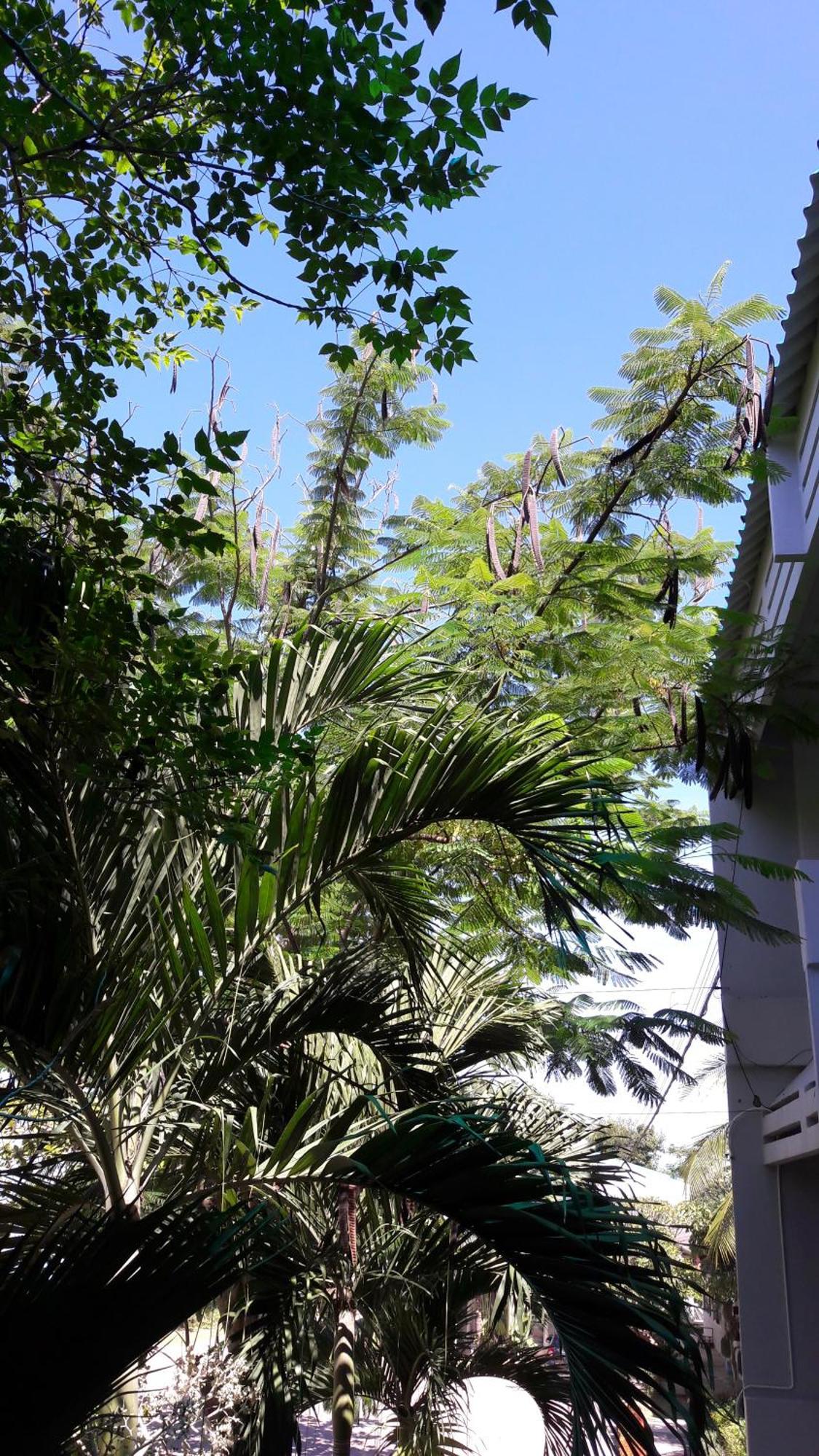 Addera Residence Hua Hin Exterior foto